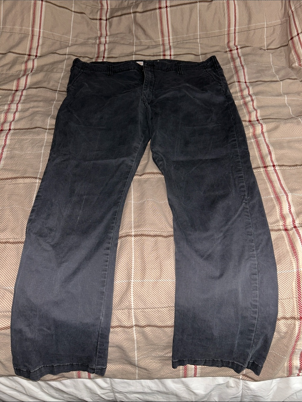 Lee Men's Chinos in Dark Gray